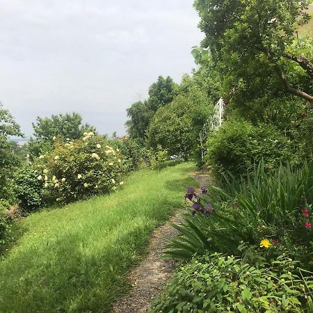 Plassac  Appartement Avec Vue Panoramique Sur L'Estuaire De La Gironde מראה חיצוני תמונה