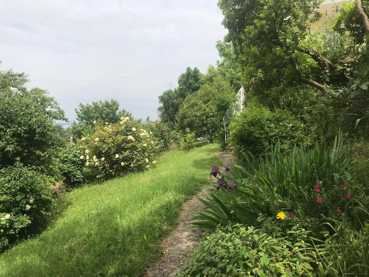 Plassac  Appartement Avec Vue Panoramique Sur L'Estuaire De La Gironde מראה חיצוני תמונה