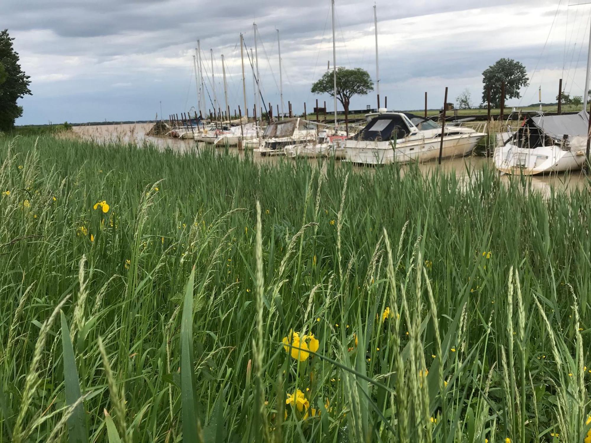 Plassac  Appartement Avec Vue Panoramique Sur L'Estuaire De La Gironde מראה חיצוני תמונה